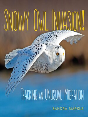 cover image of Snowy Owl Invasion!